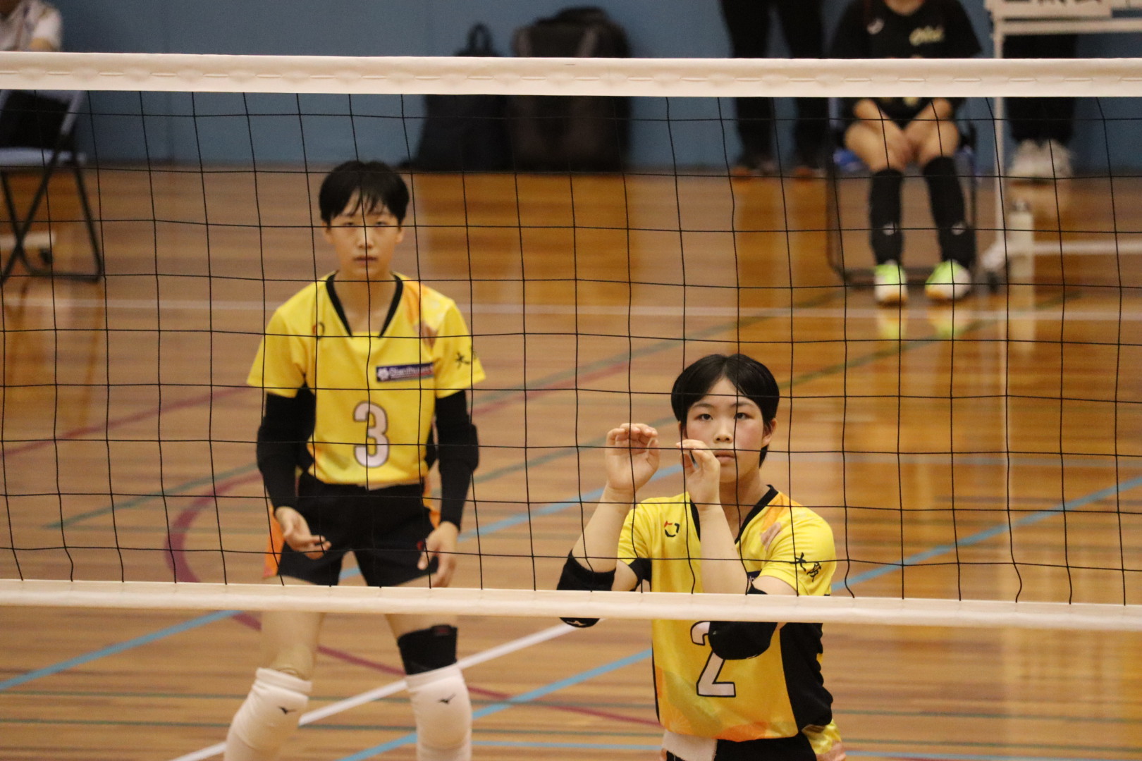 中学女子バレーボール部