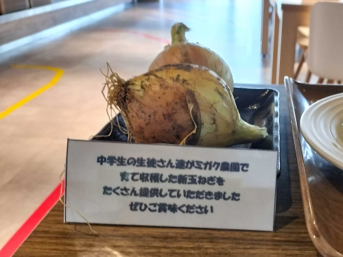 IMG20240430135156.jpg
